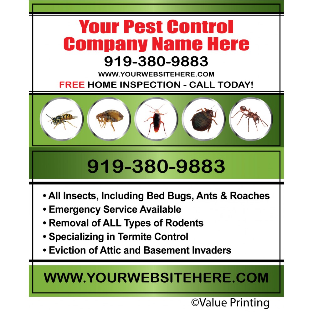 pest-bc7-1000x1000.jpg